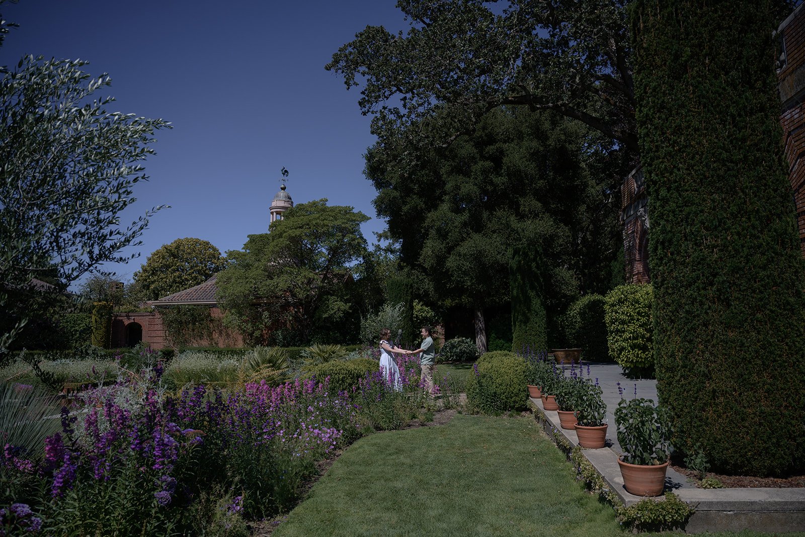Filoli-Engagement-34.jpg
