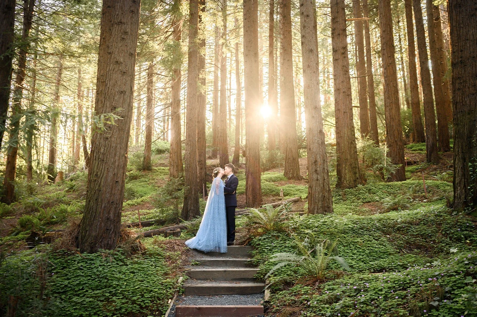 a photo of a bride and a groom, the bride is in an untraditional blue wedding dress, in a redwood forest with the sun streaming in through the trees behind them at sunset
