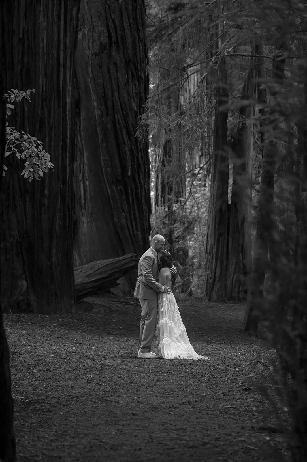 Forest-119.jpg