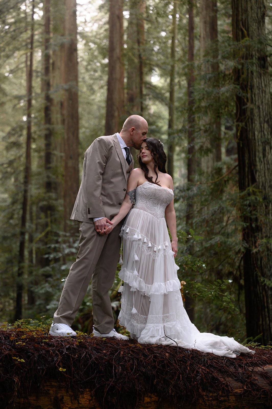 Forest-47.jpg