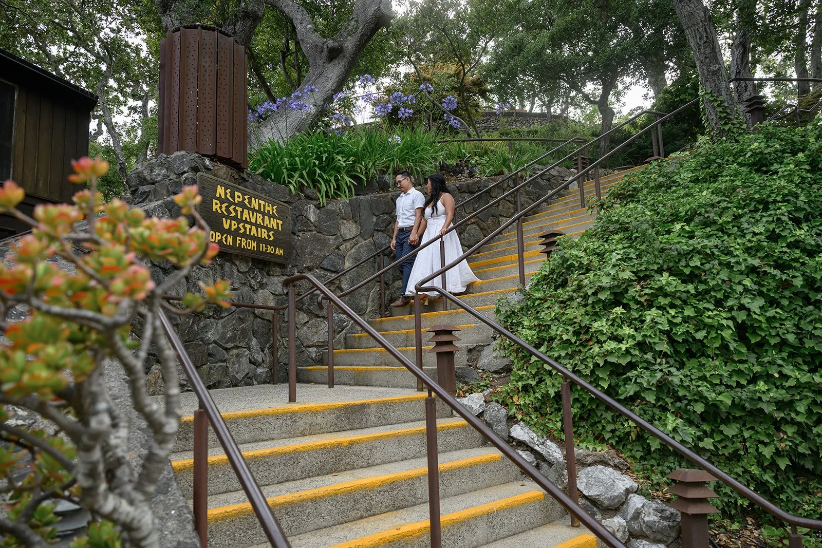 Engagement in Big Sur, CA