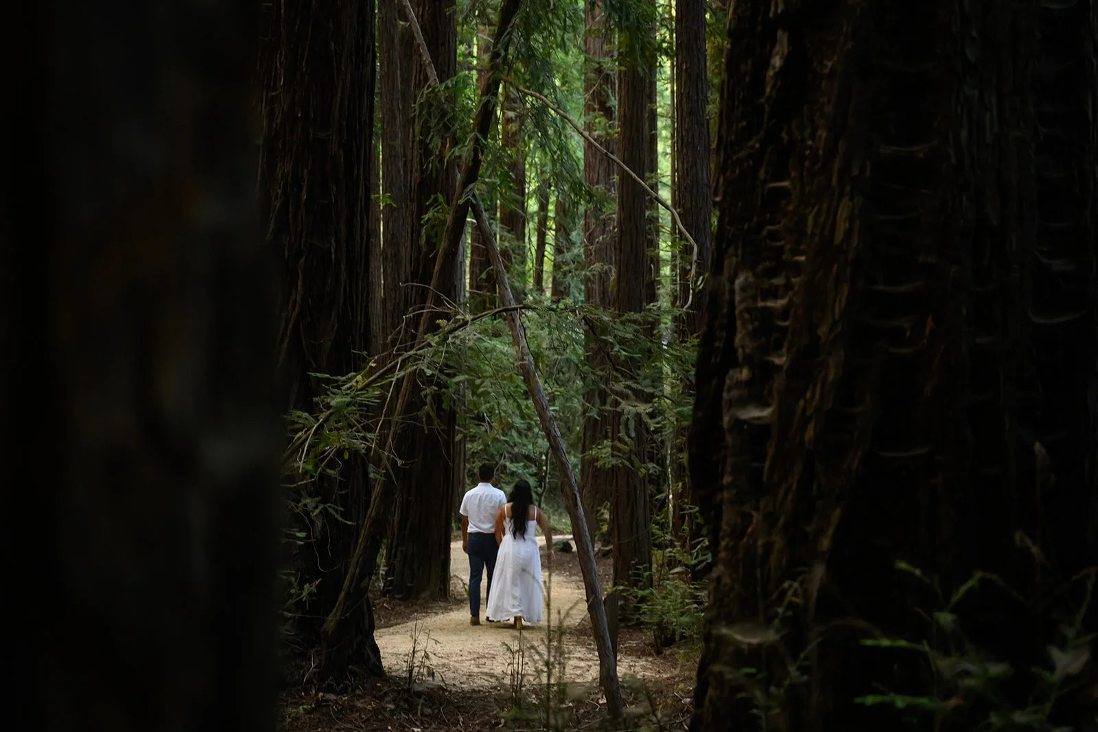 Engagement in Big Sur, CA