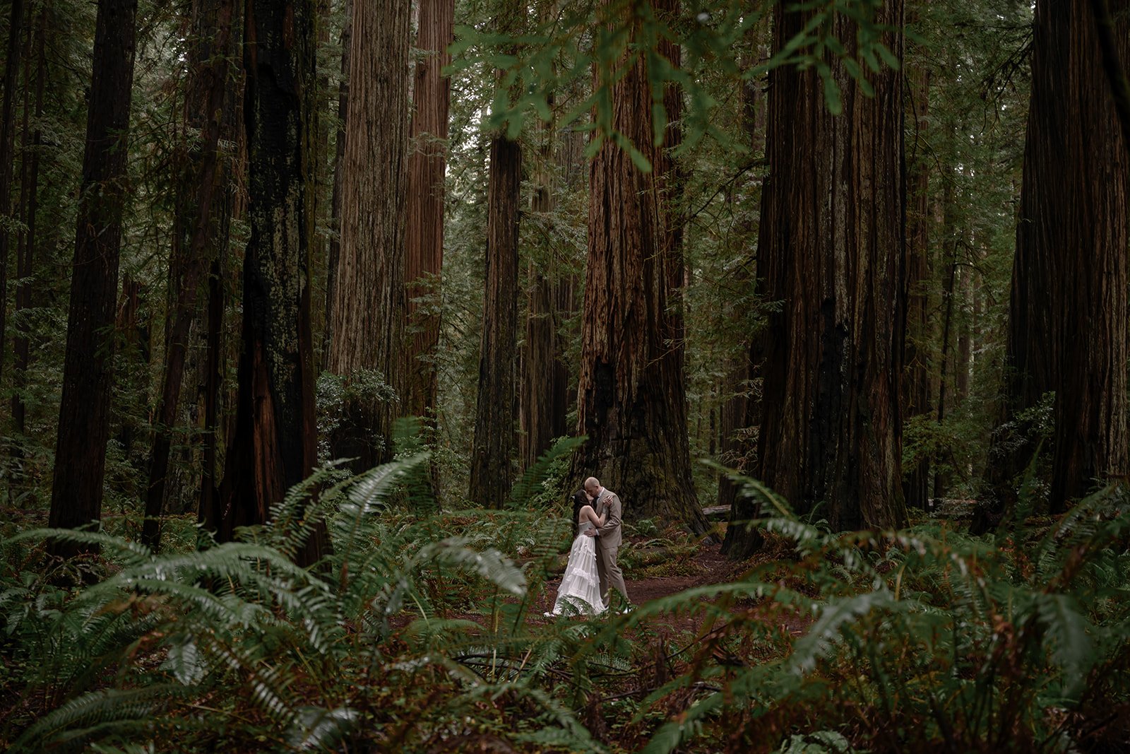 Forest-195.jpg