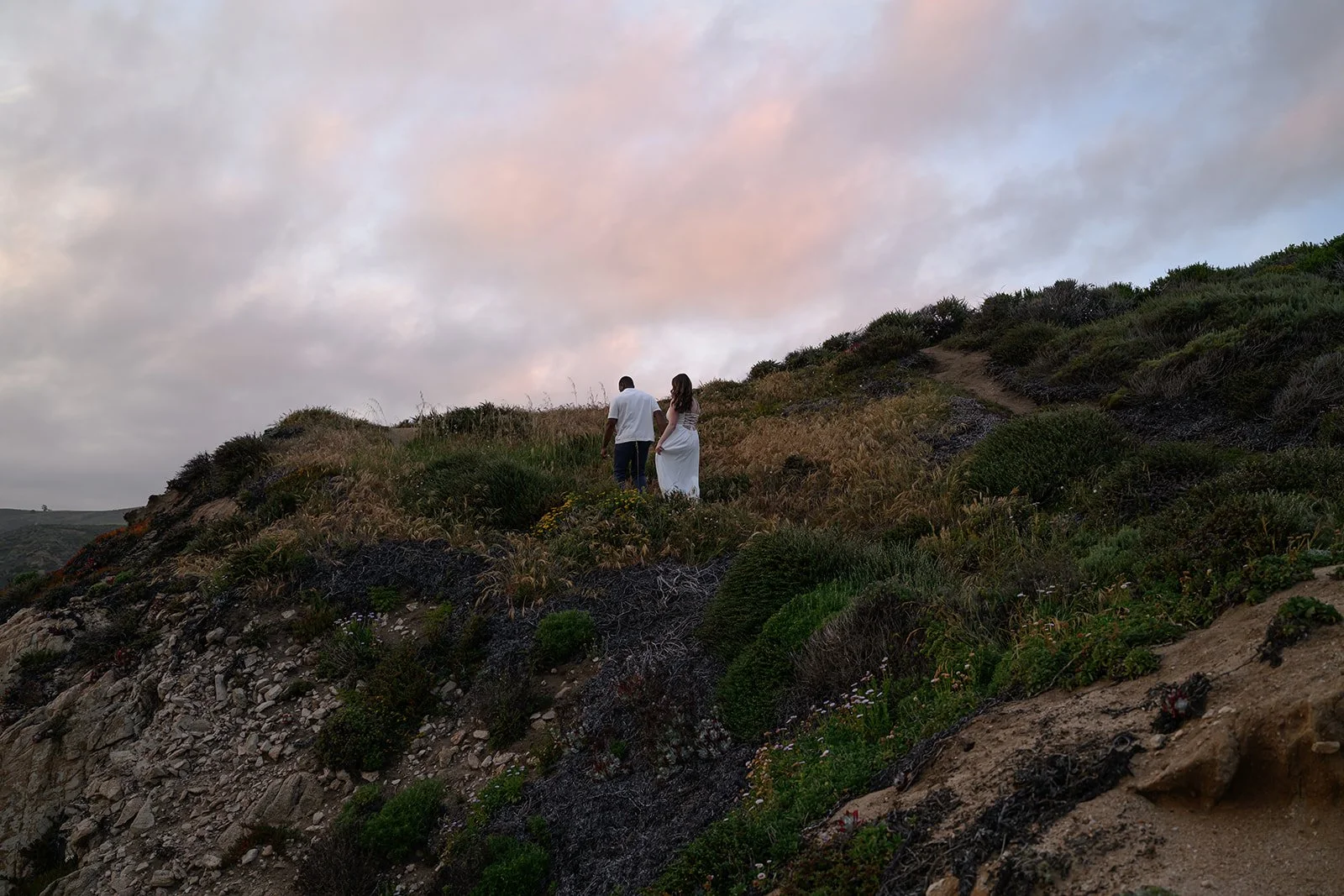 Big-Sur-168.jpg