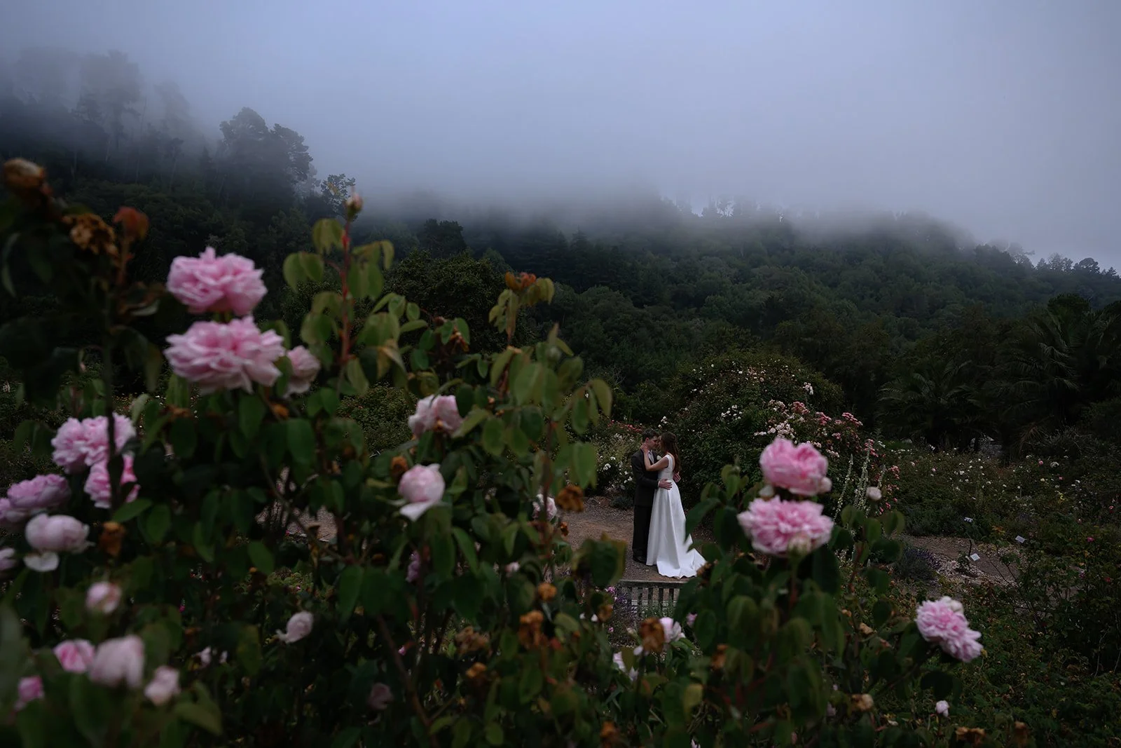Garden-Portraits-94.jpg