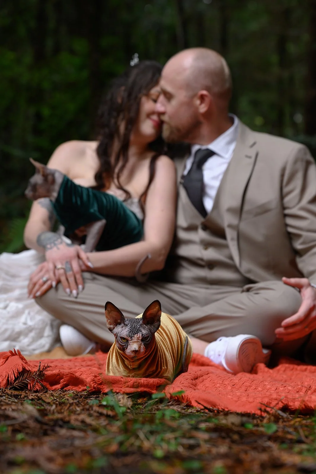 Cats-28.jpg
