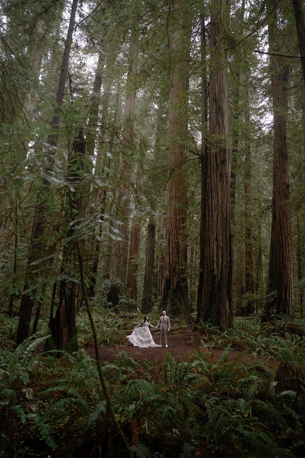 Forest-190.jpg