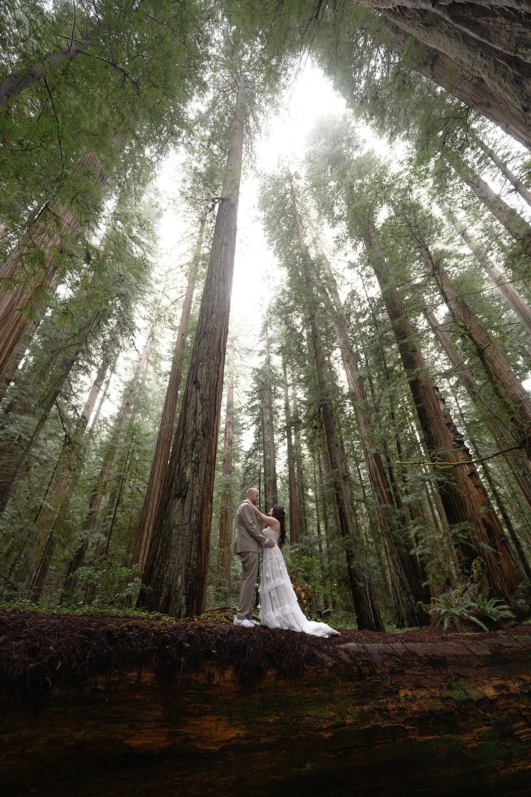 Rainy Microwedding in Northern California Redwood Forest (All) (Weddings) (Elopements)
