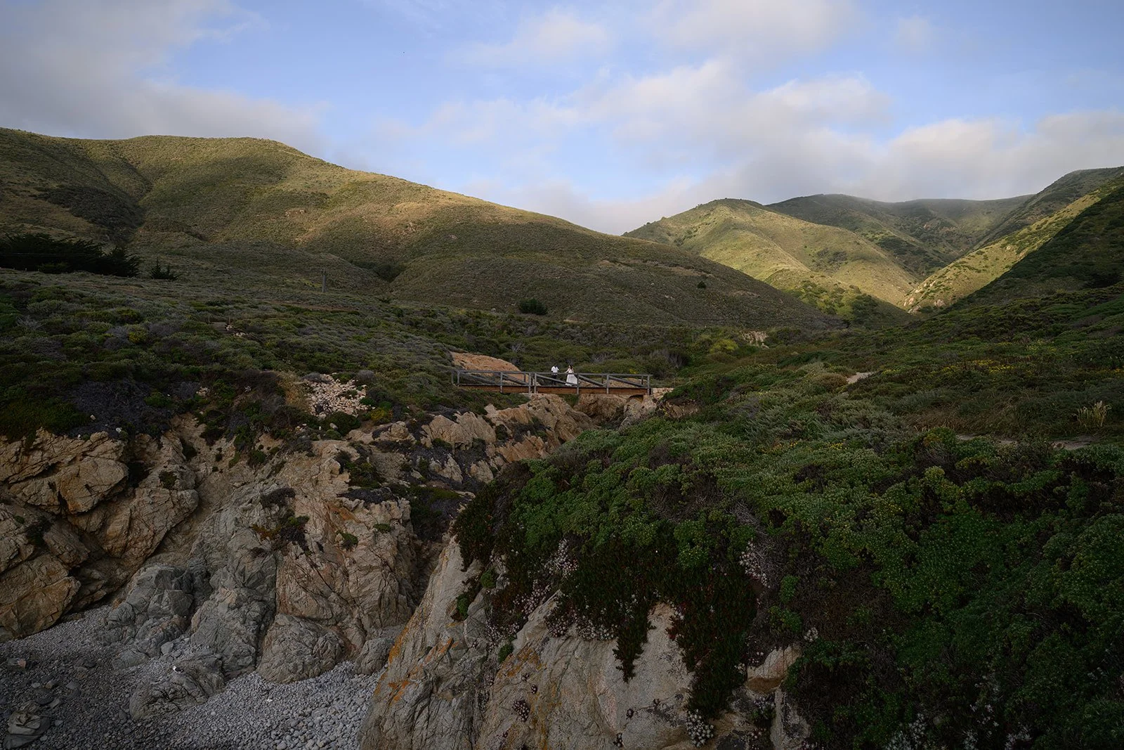 Big-Sur-92.jpg