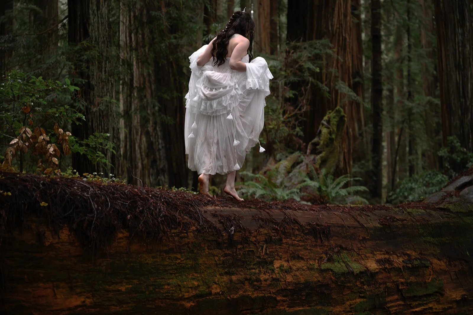 Forest-75.jpg