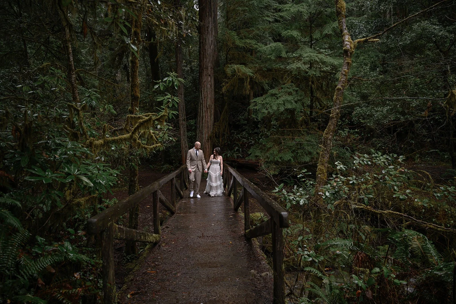 Forest-170.jpg