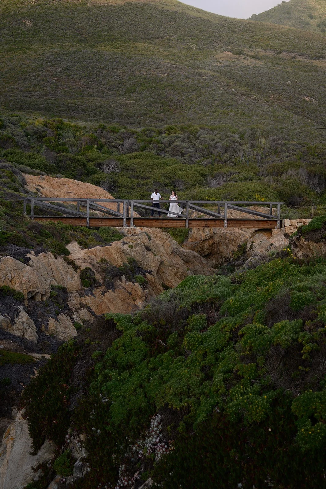 Big-Sur-95.jpg