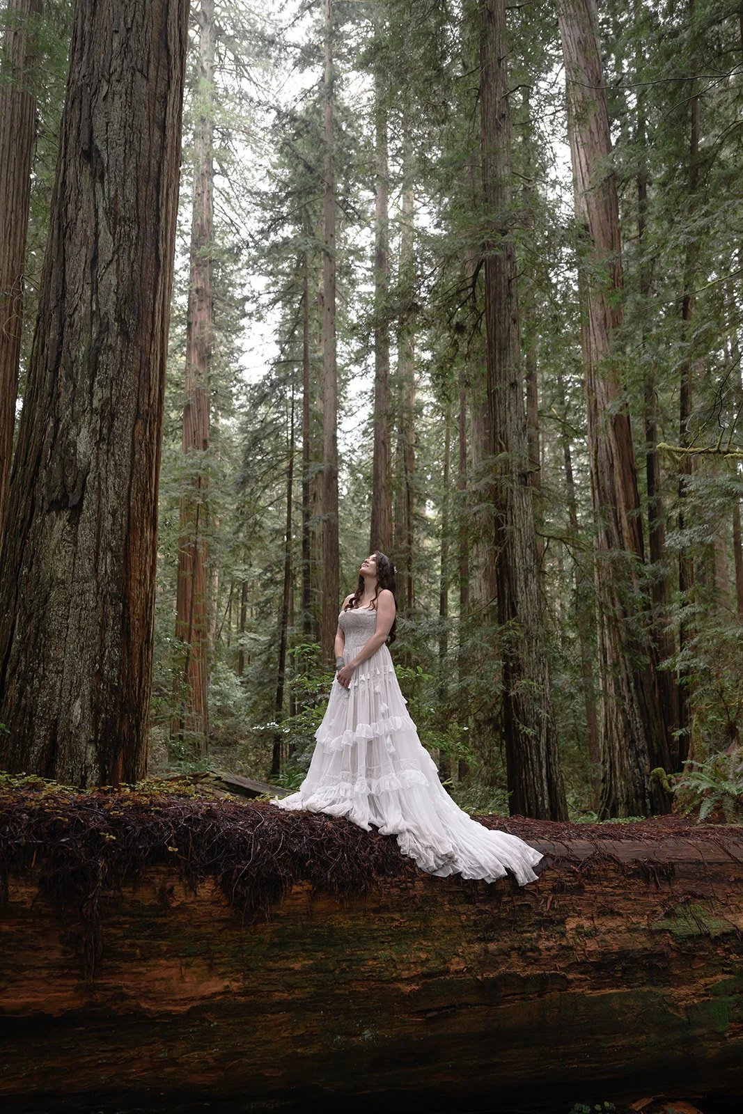 Forest-65.jpg