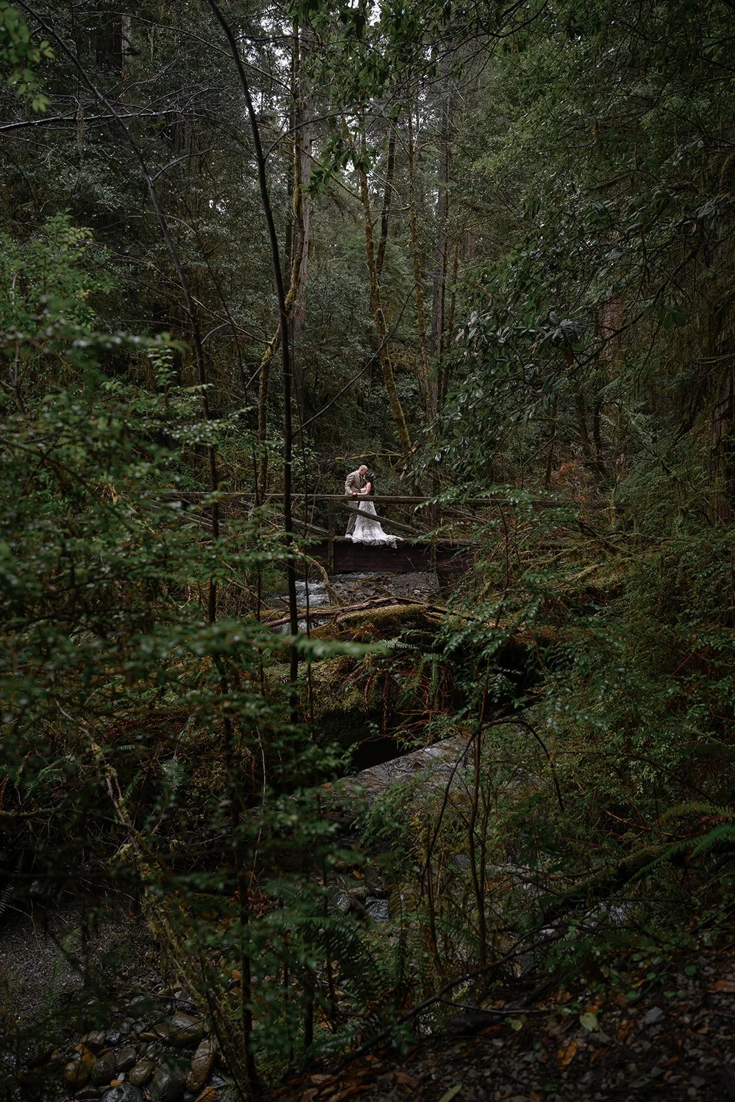 Forest-162.jpg