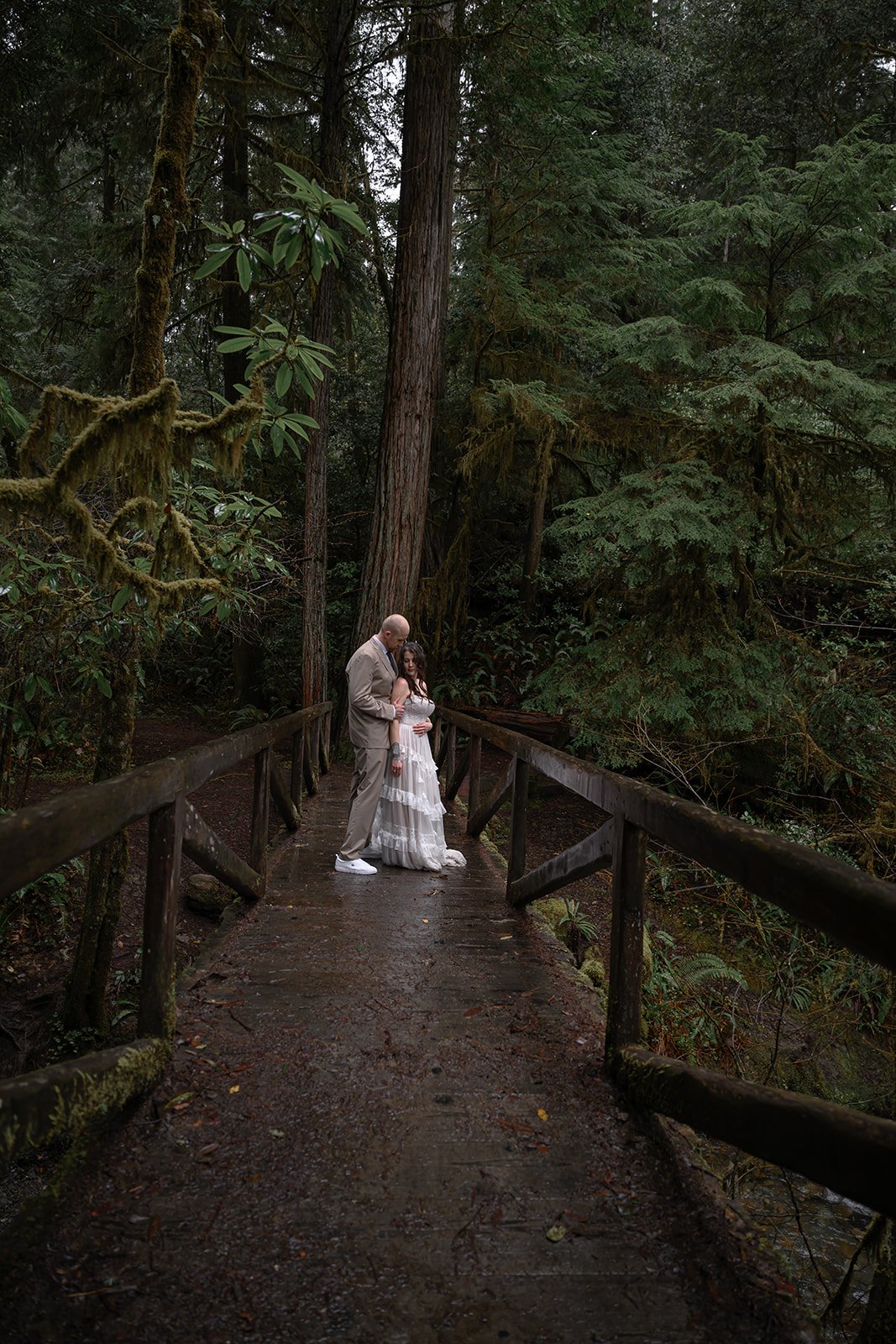 Forest-175.jpg