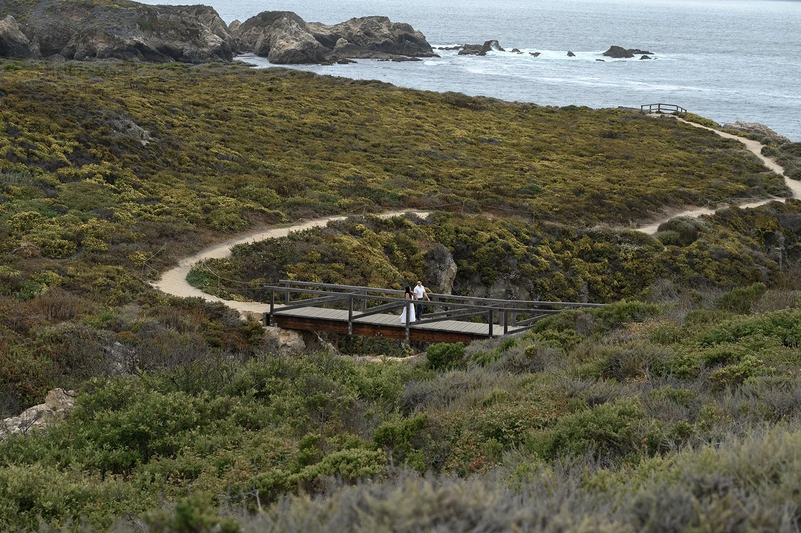 Engagement in Big Sur, CA