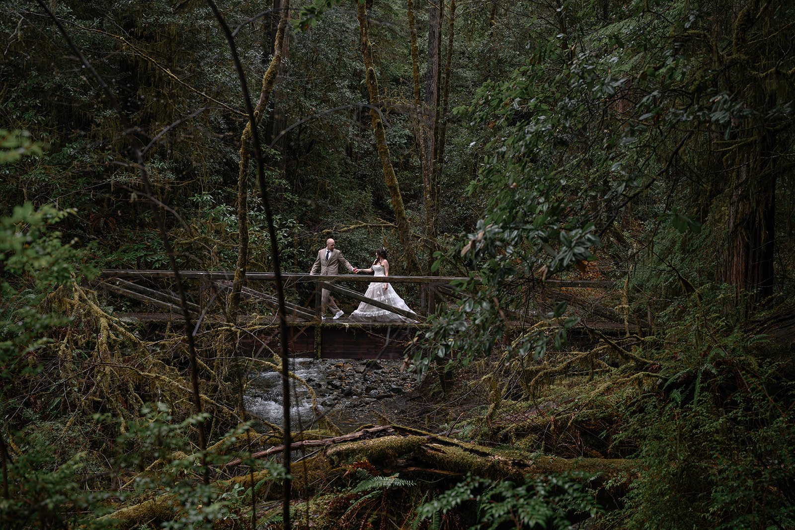 Forest-151.jpg