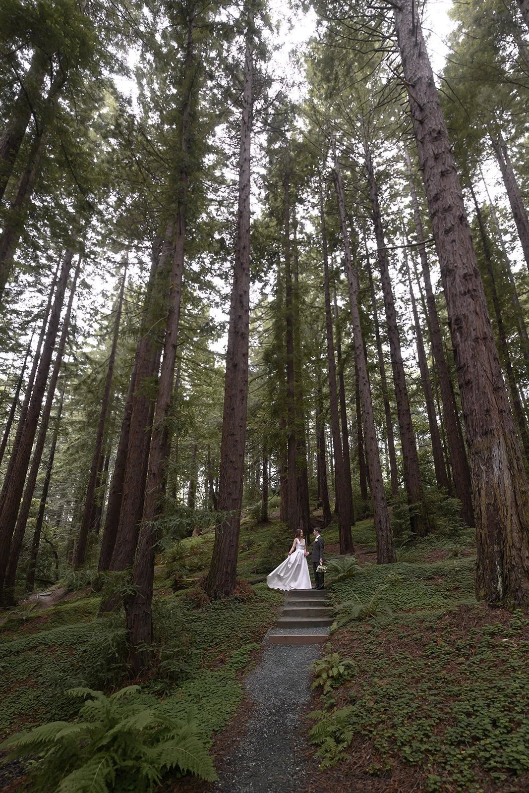 Bride-Groom-Redwoods-44.jpg