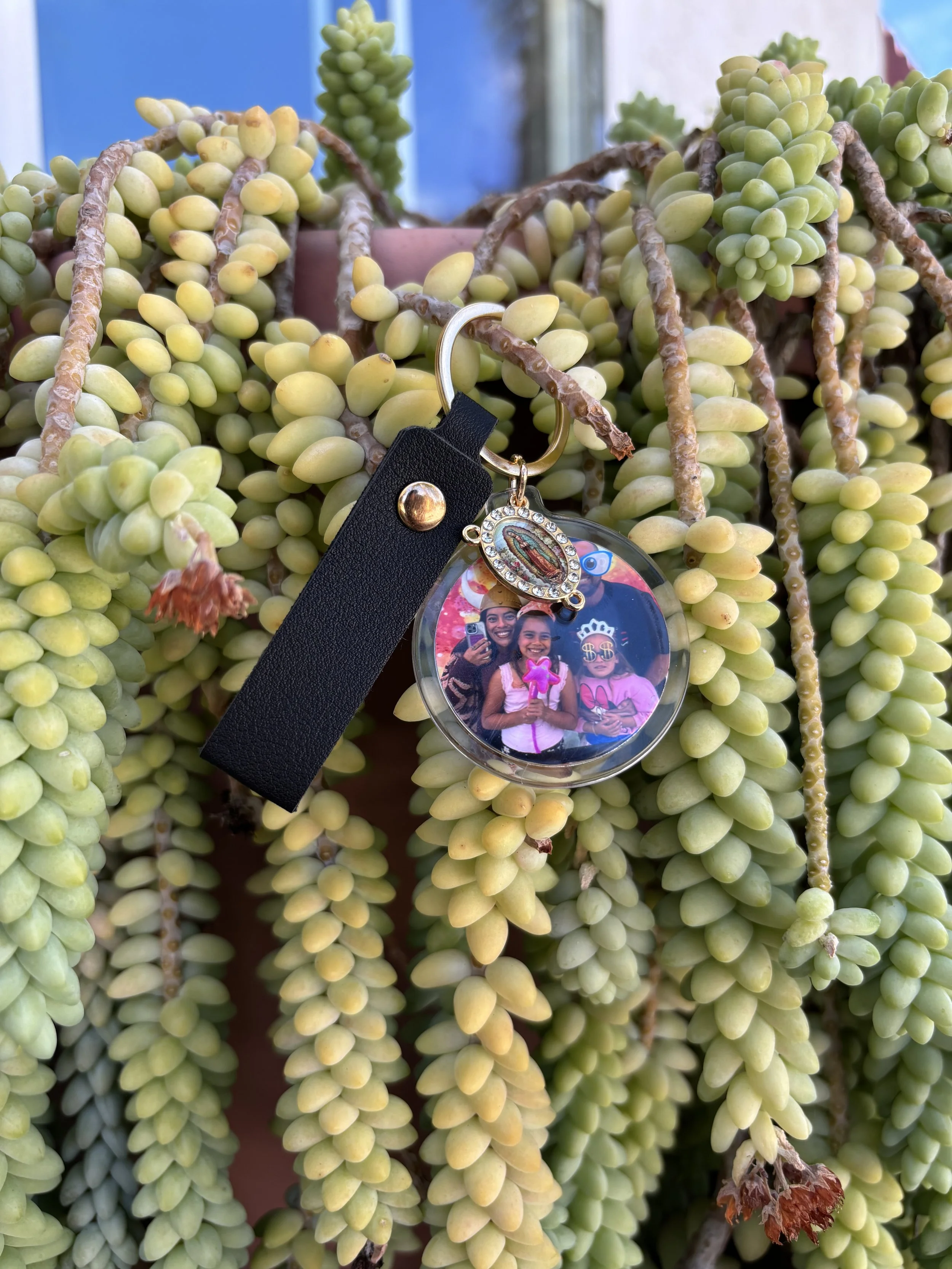 A potted succulent plant with bluish-green leaves and a keychain hanging from one of its stems.