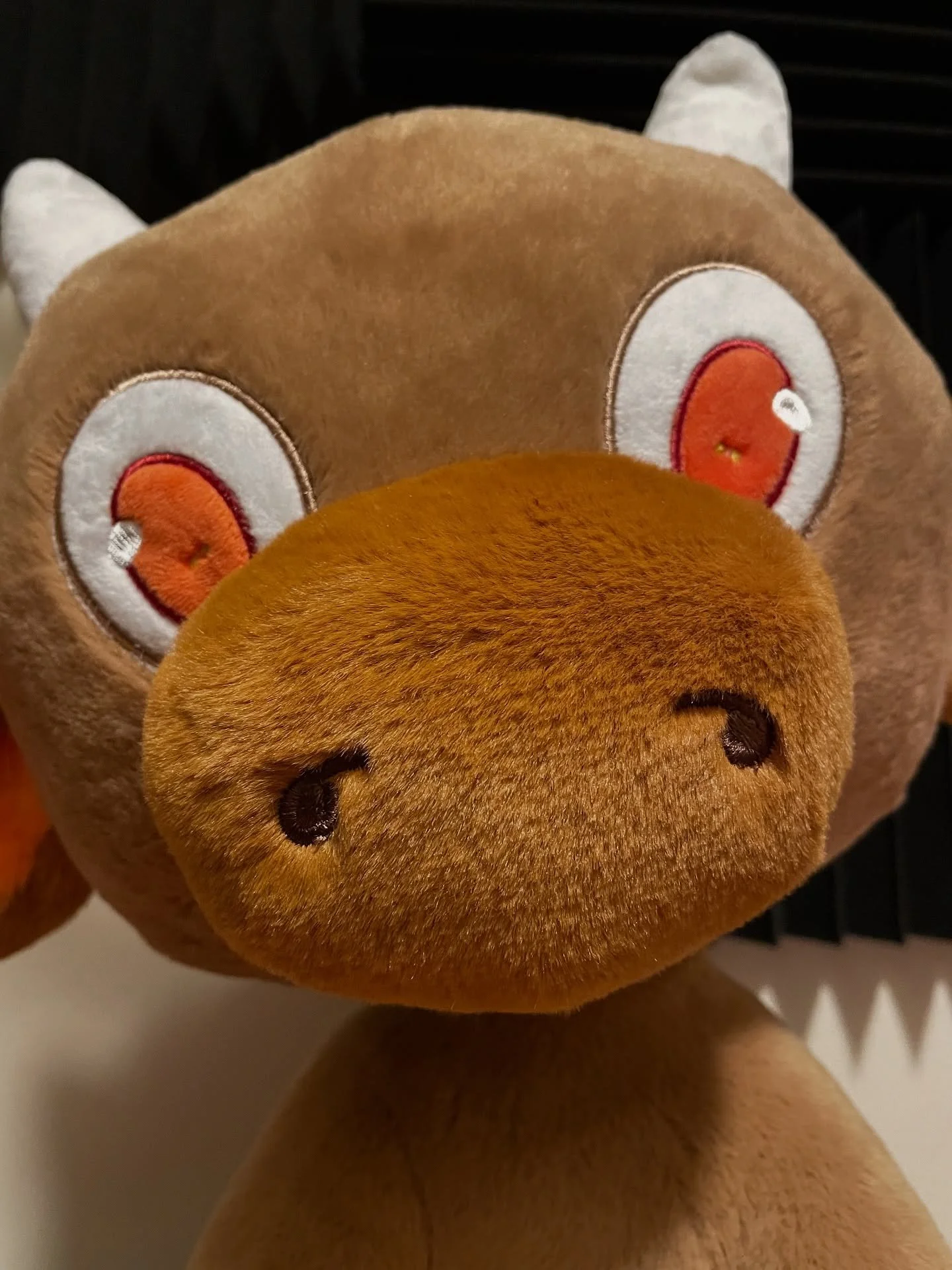 Guess who we just got in the mail!?