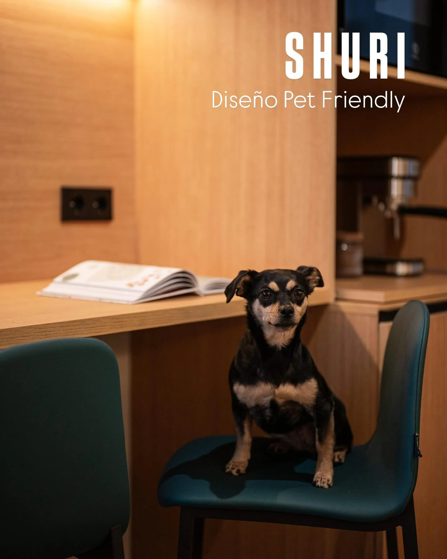 Ya me vale&hellip;no publicar tan seguido como deber&iacute;a y que en todo un reportaje de fotazas de @octavuss_photo , una de mis preferidas sea la de Shuri. S&iacute; 😅🫣

Pero es que Shuri ha estado 3 meses fuera de casa, con familiares de nuest