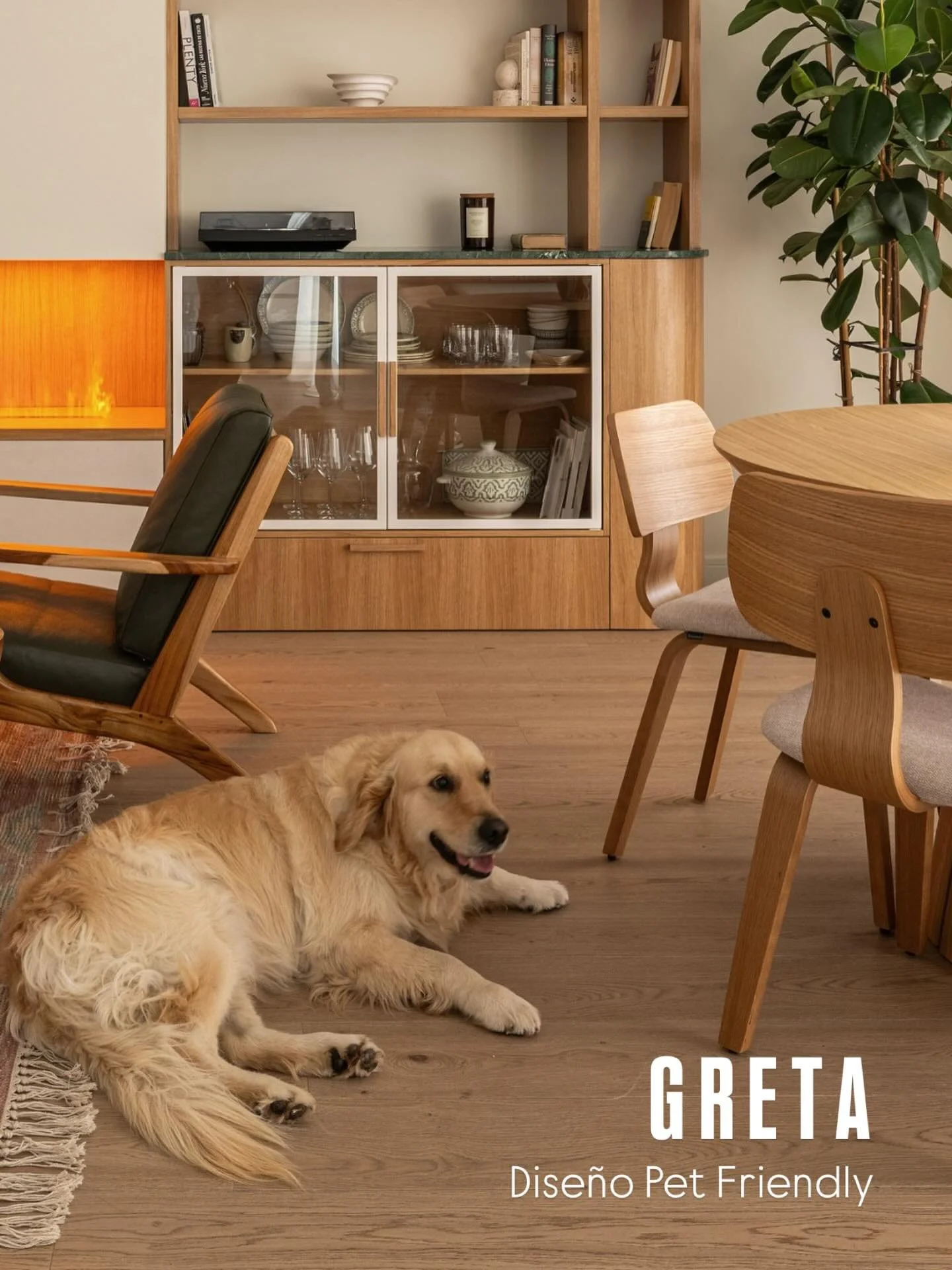 Greta ha estado presente durante todo el desarrollo del proyecto, en los montajes y tambi&eacute;n en la sesi&oacute;n de fotos. 
Ha estado siempre con nosotros y hemos disfrutado mucho, ri&eacute;ndonos con ella porque adem&aacute;s de adorable es m