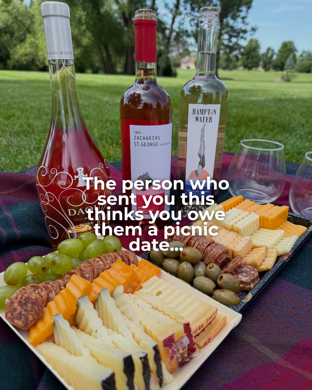 A picnic setup on a table outdoors with cheese, grapes, olives, and wine bottles, set against a green grassy background with trees and a house in the distance.