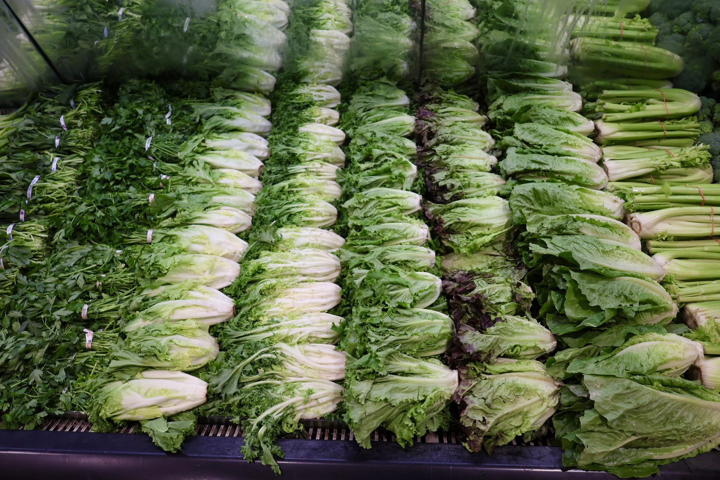 Fresh leafy greens and lettuce arranged in rows at a produce section in a grocery store.