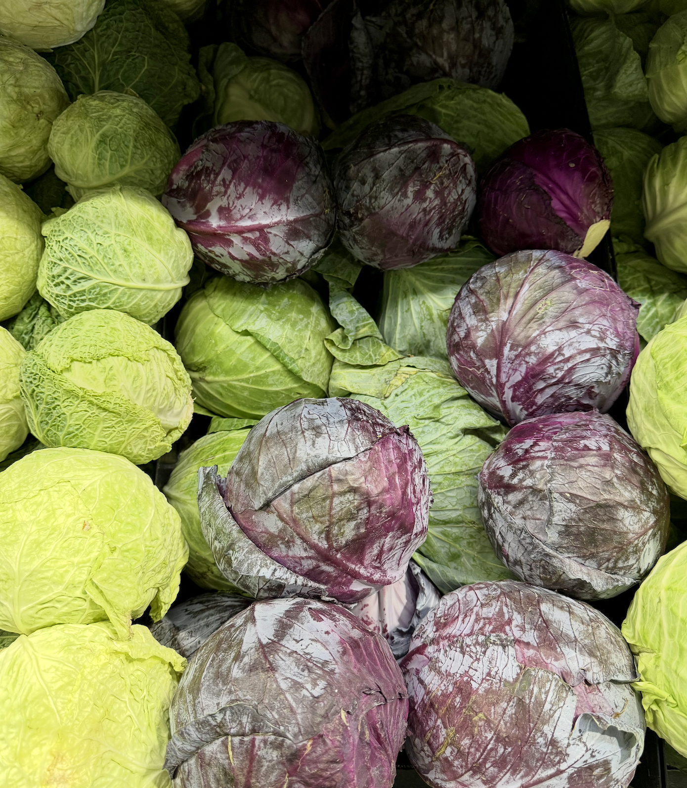 Screenshot 2025-09-12 at 2.26.33 PM.png