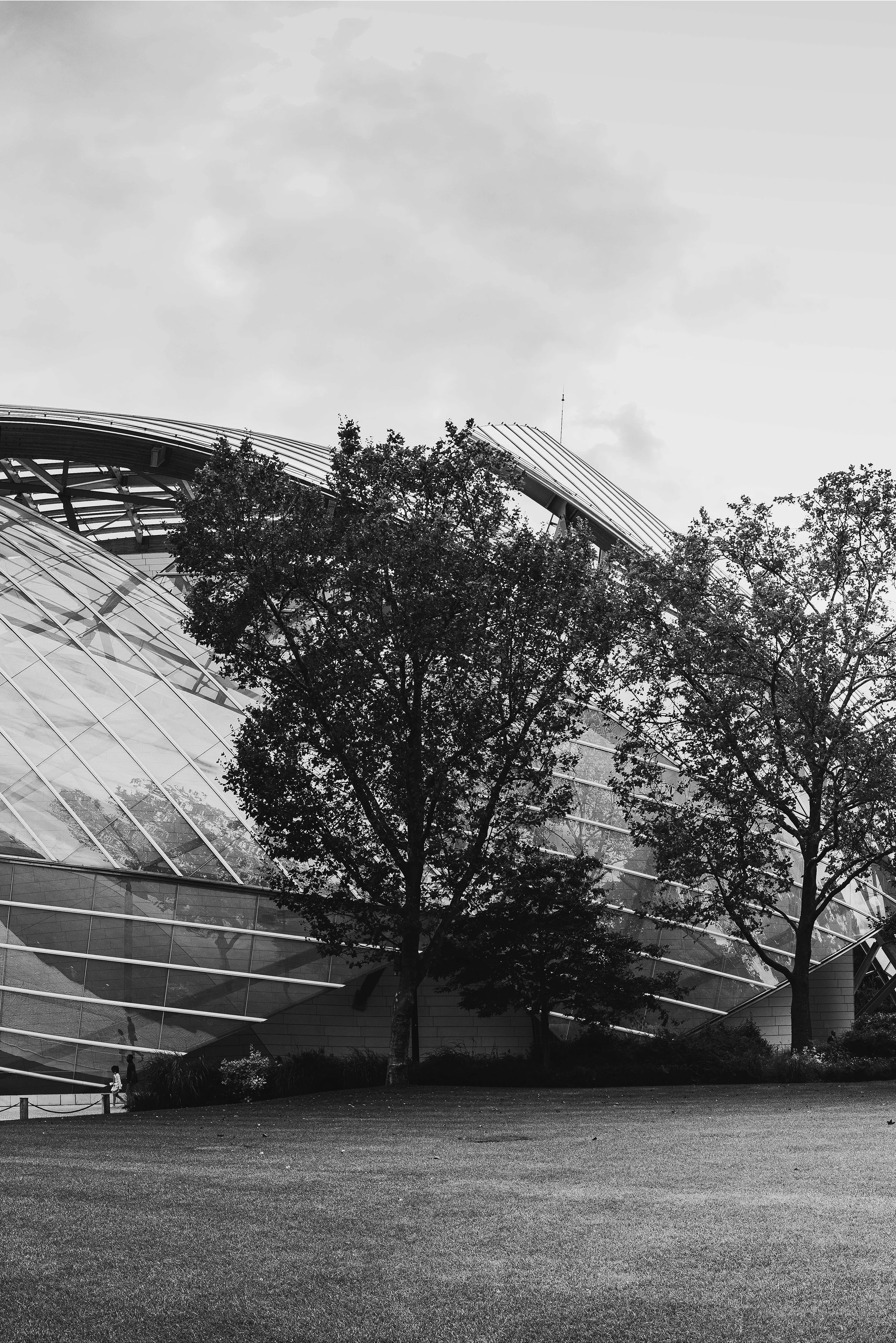 Black and white image of modern glass building with curved architecture, partially obscured by trees in the foreground, on cloudy day. Frank Gehry