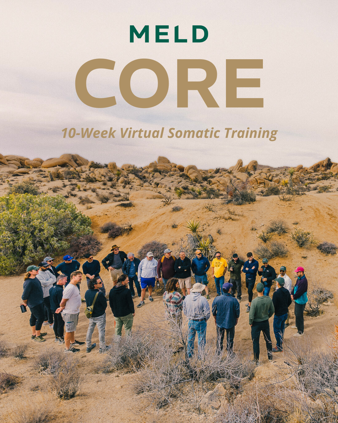 A flyer for MELD Core, an online virtual 10-week somatic training for men.