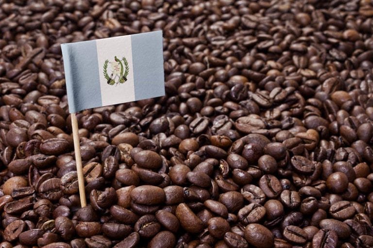 flag-of-Guatemala-sticking-in-roasted-coffee-beans_Per-Bengtsson_Shutterstock-768x512.jpg