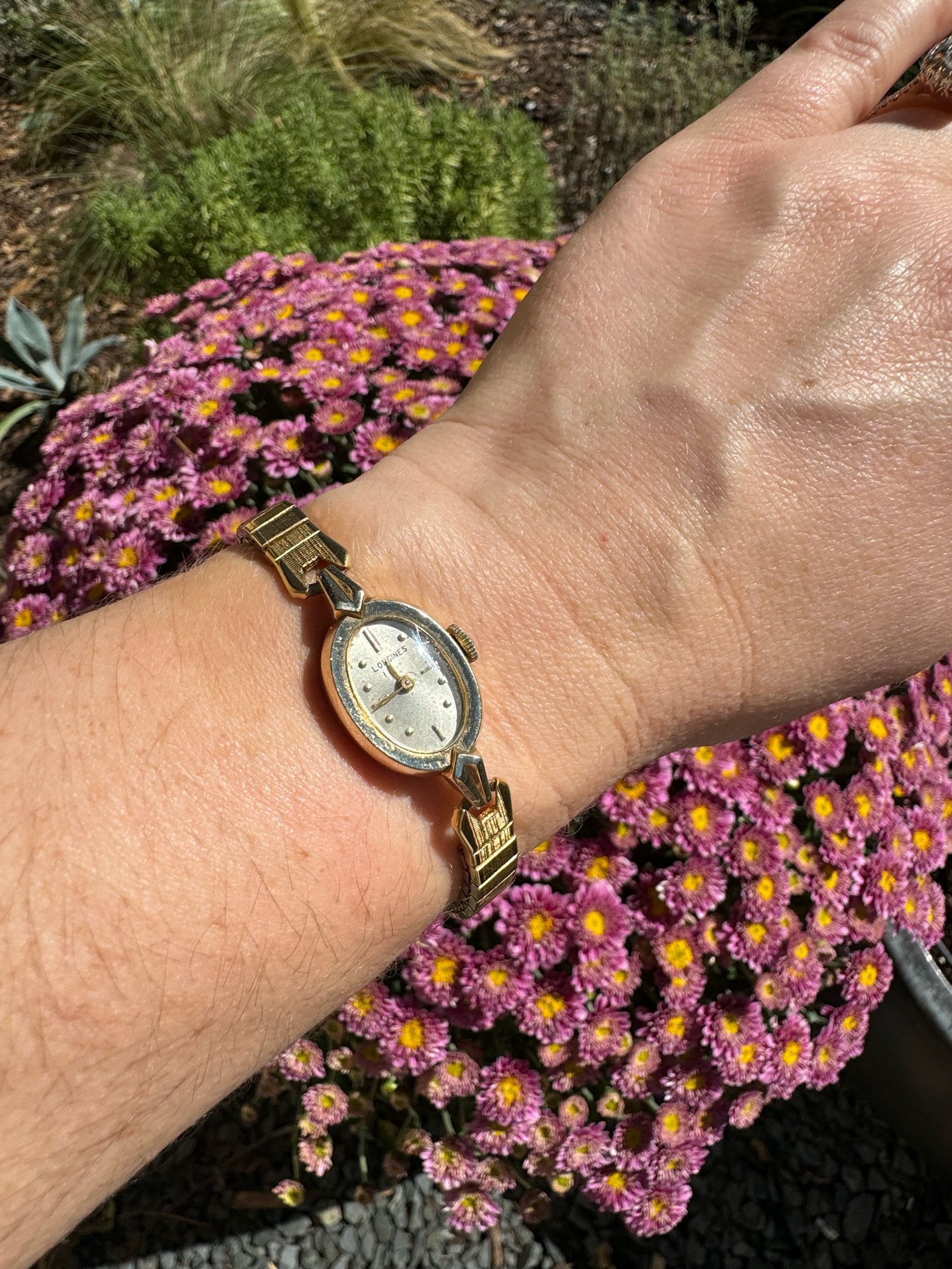 Vintage Longines gold watch on display, classic luxury accessory with 14-hour mechanical accuracy