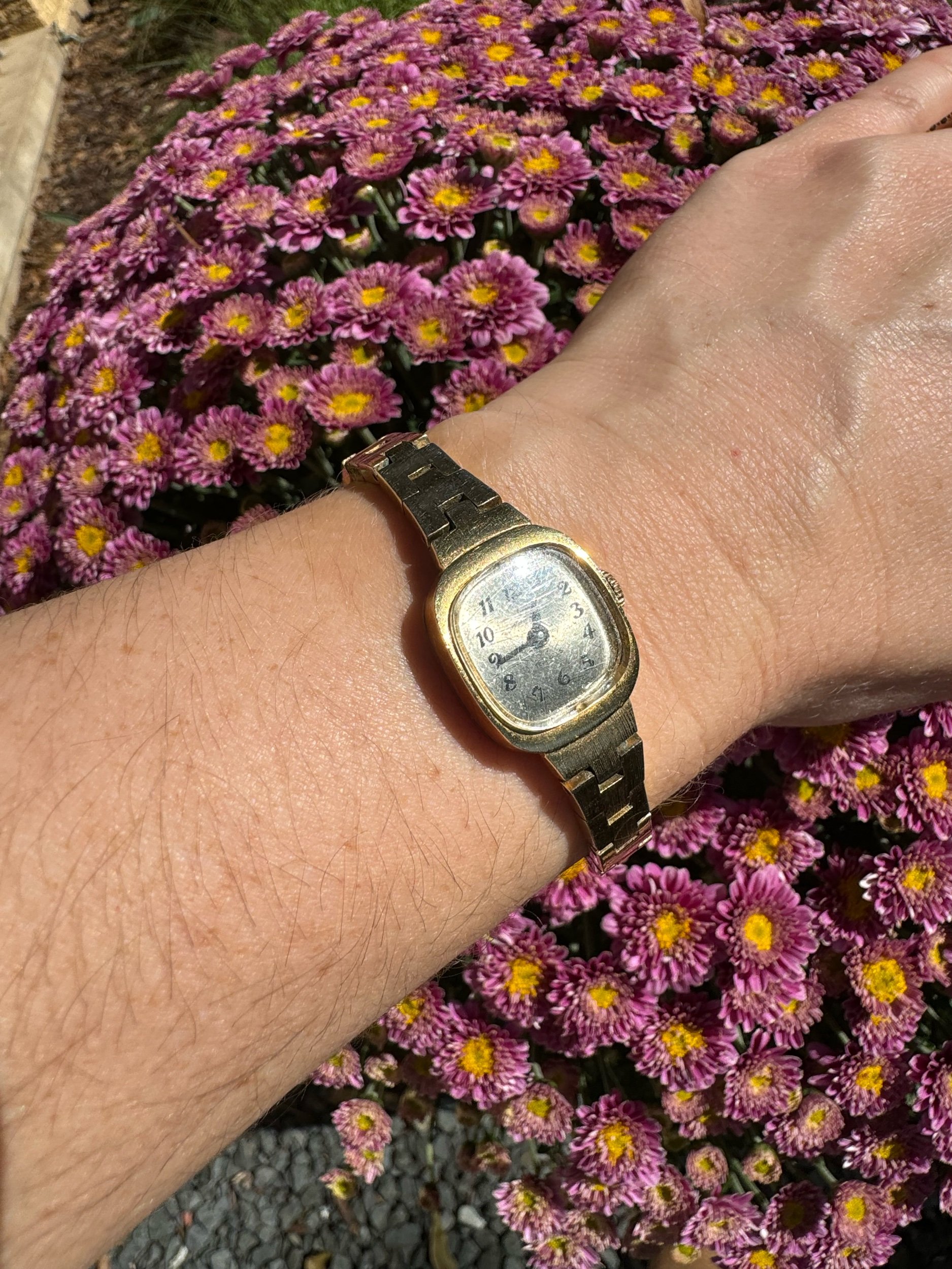 Vintage Helbros watch on display, a 24-hour mechanical watch in gold with vintage appeal.