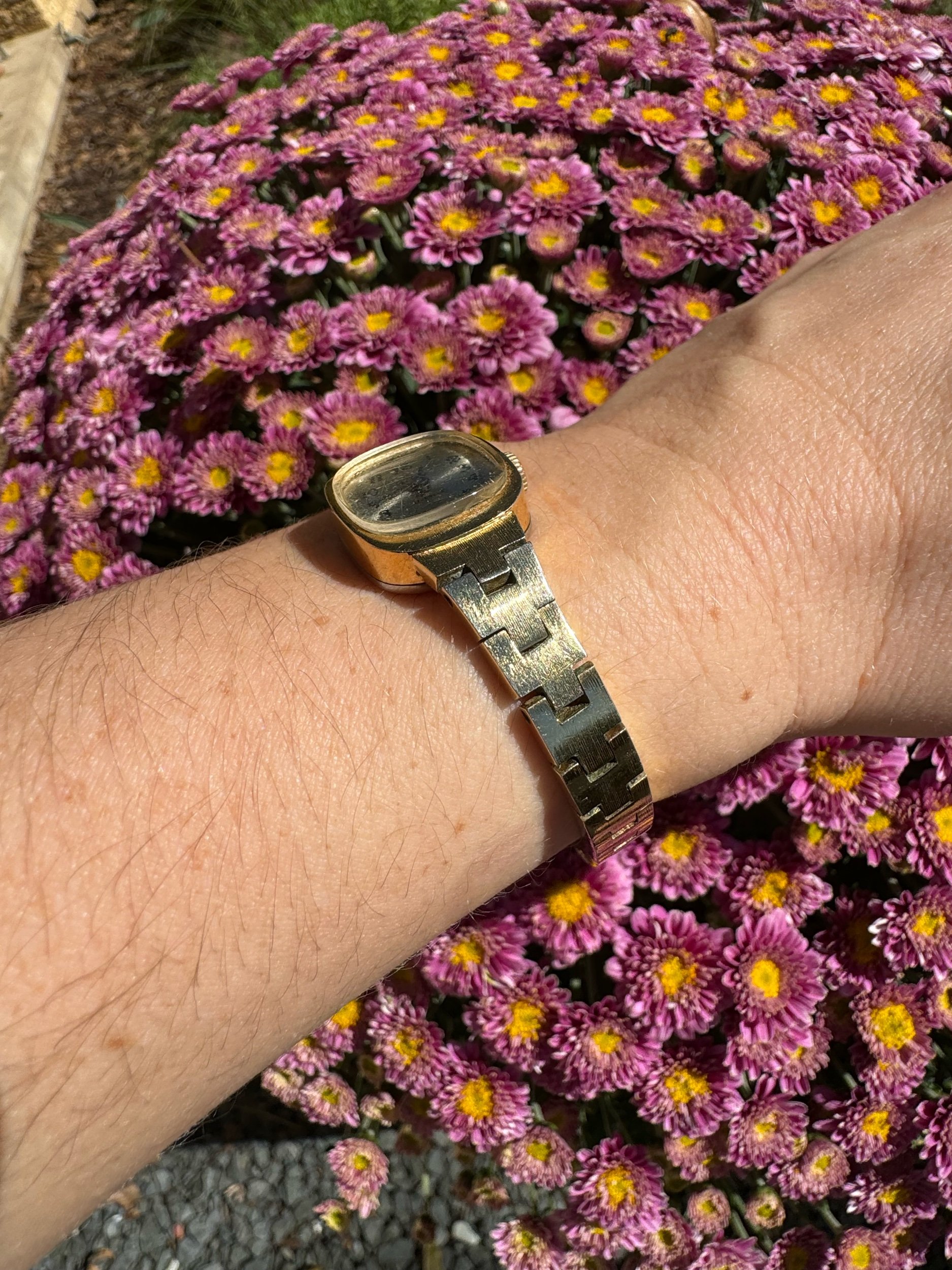 "Side view of Helbros mechanical watch, highlighting the vintage gold casing and winding crown
