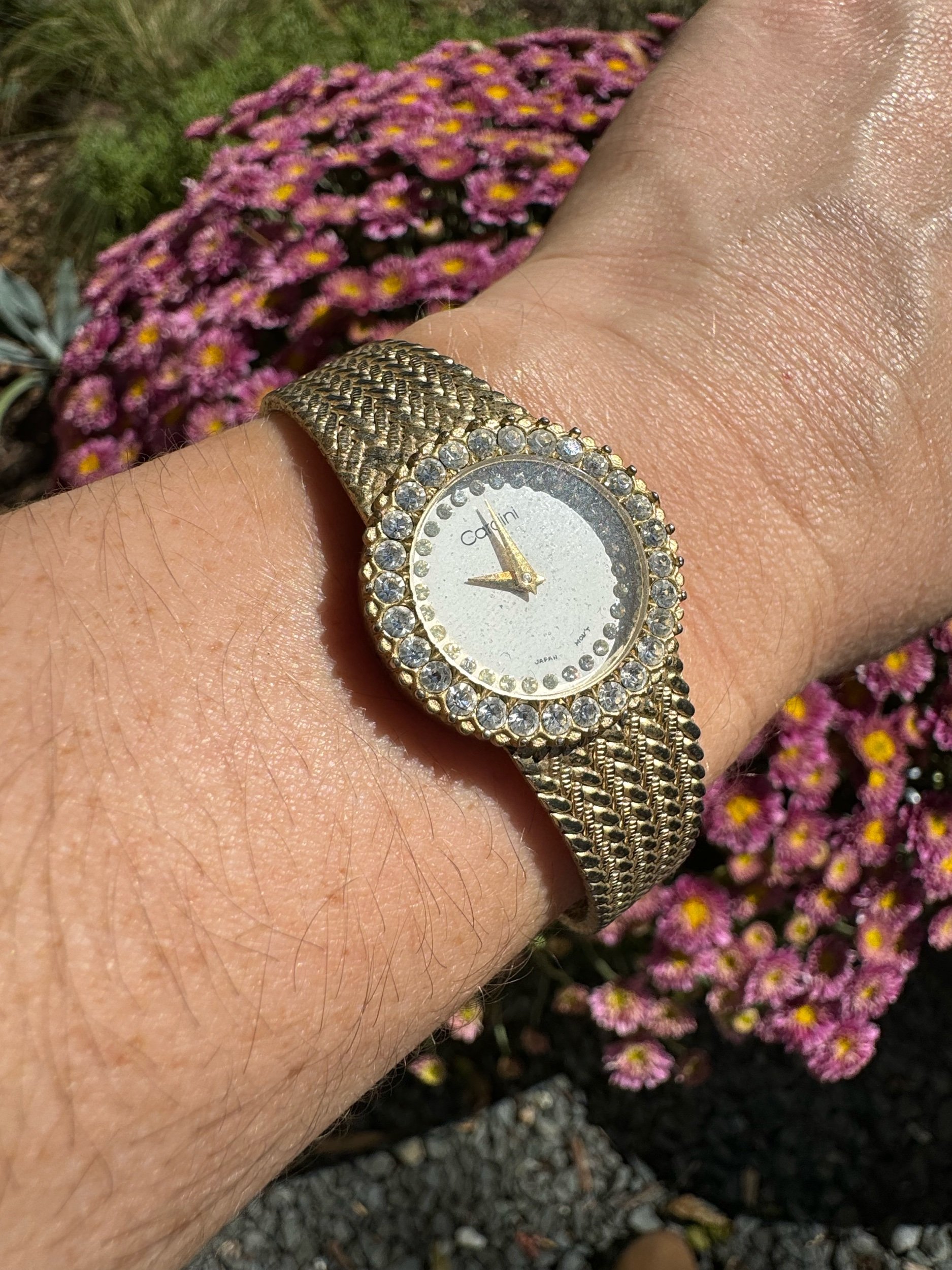 Vintage gold Cardini watch with a sleek design – ideal for collectors or vintage fashion enthusiasts.