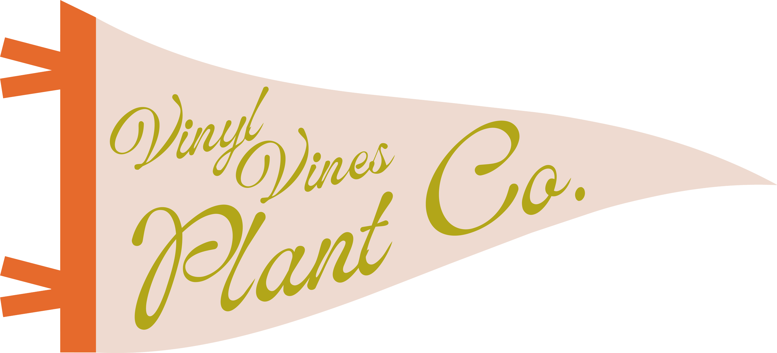 A pennant banner with orange and beige colors displaying the text "Vinyl Wines Plant Co." in green cursive font.