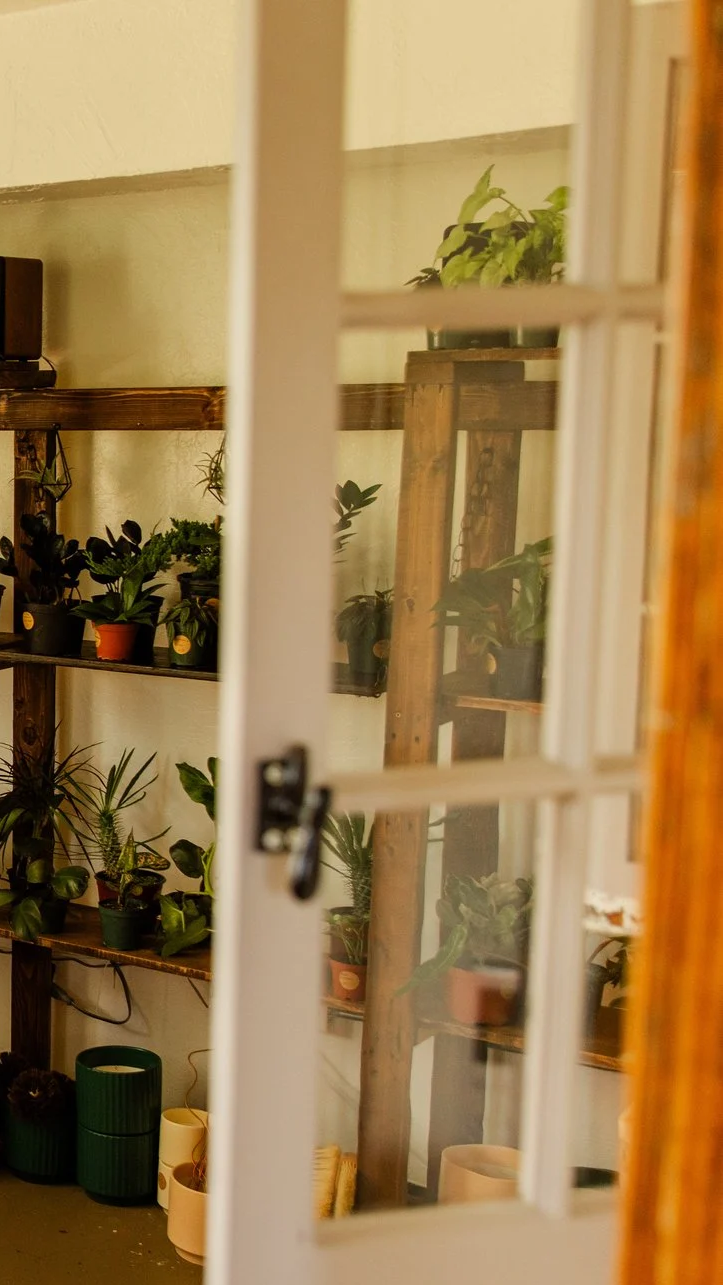 View through a glass door in a historical building in Appleton, Wisconsin, showing a room with wooden shelves filled with potted plants.
