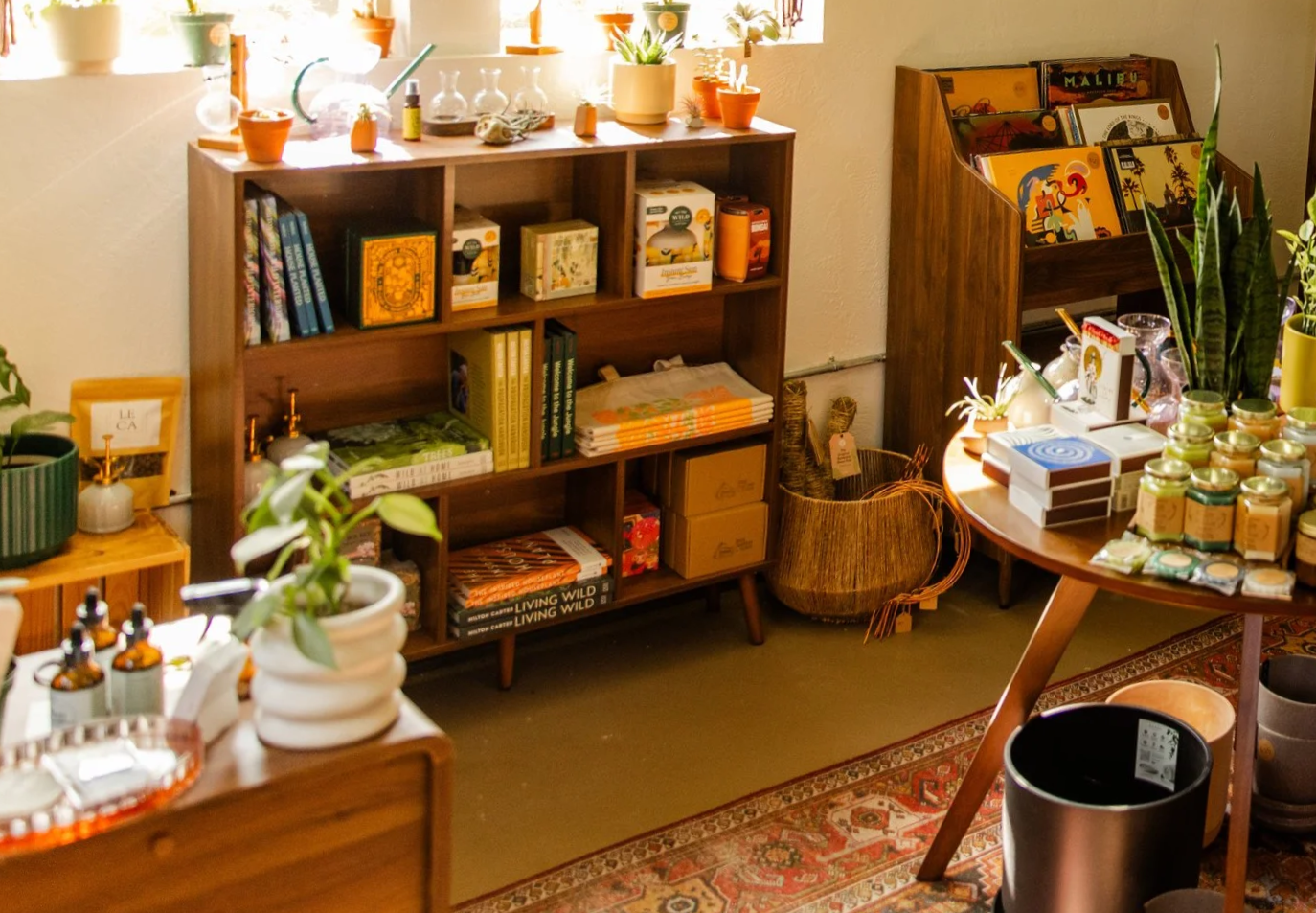 A cozy interior of a modern plant shop in Appleton, Wisconsin with wooden shelves and tables displaying decorative items, books, plants, and jars for sale.