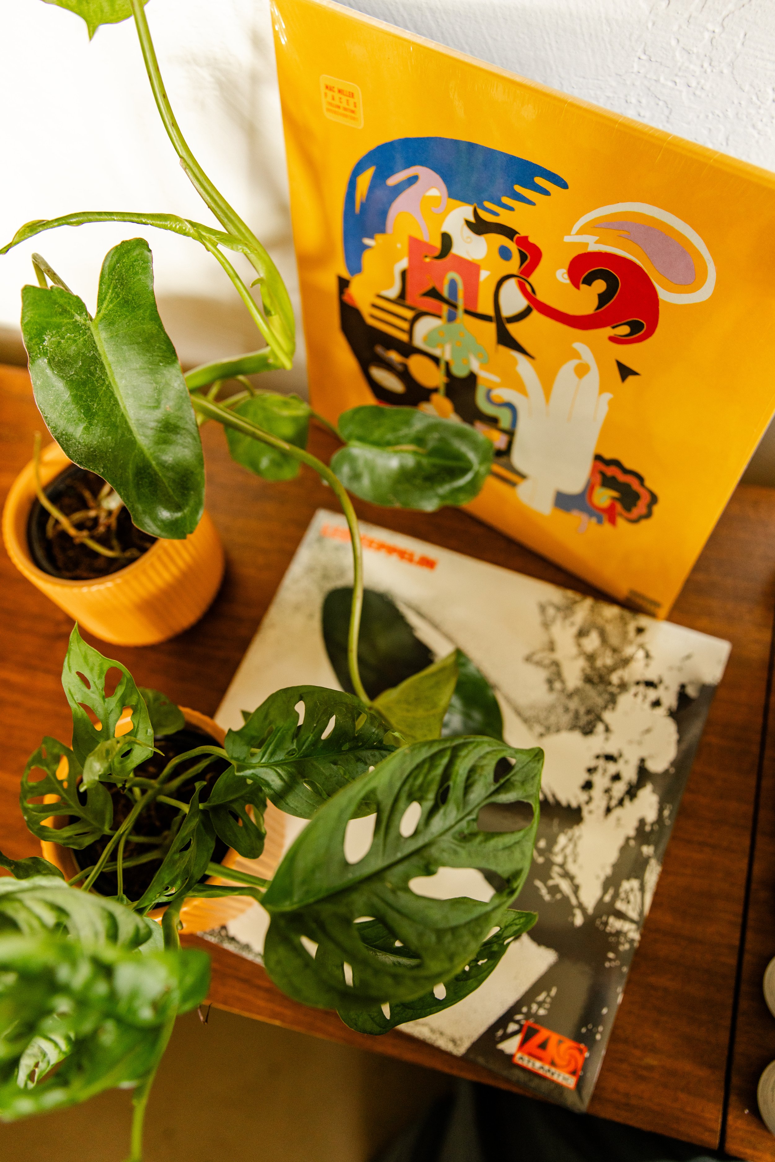 Close-up of green leafy houseplants in yellow pots next to a yellow book with colorful abstract cover art, all on a wooden surface.