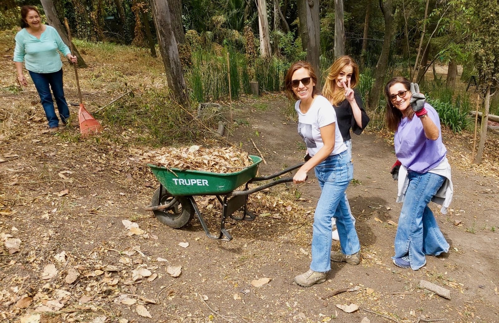 Pilar Silva Ibaceta I Squarespace web Design I Gardening