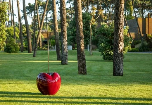 cherry_fr_bordeaux (42).jpg