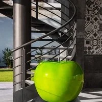 apple_fr_green (1).jpg