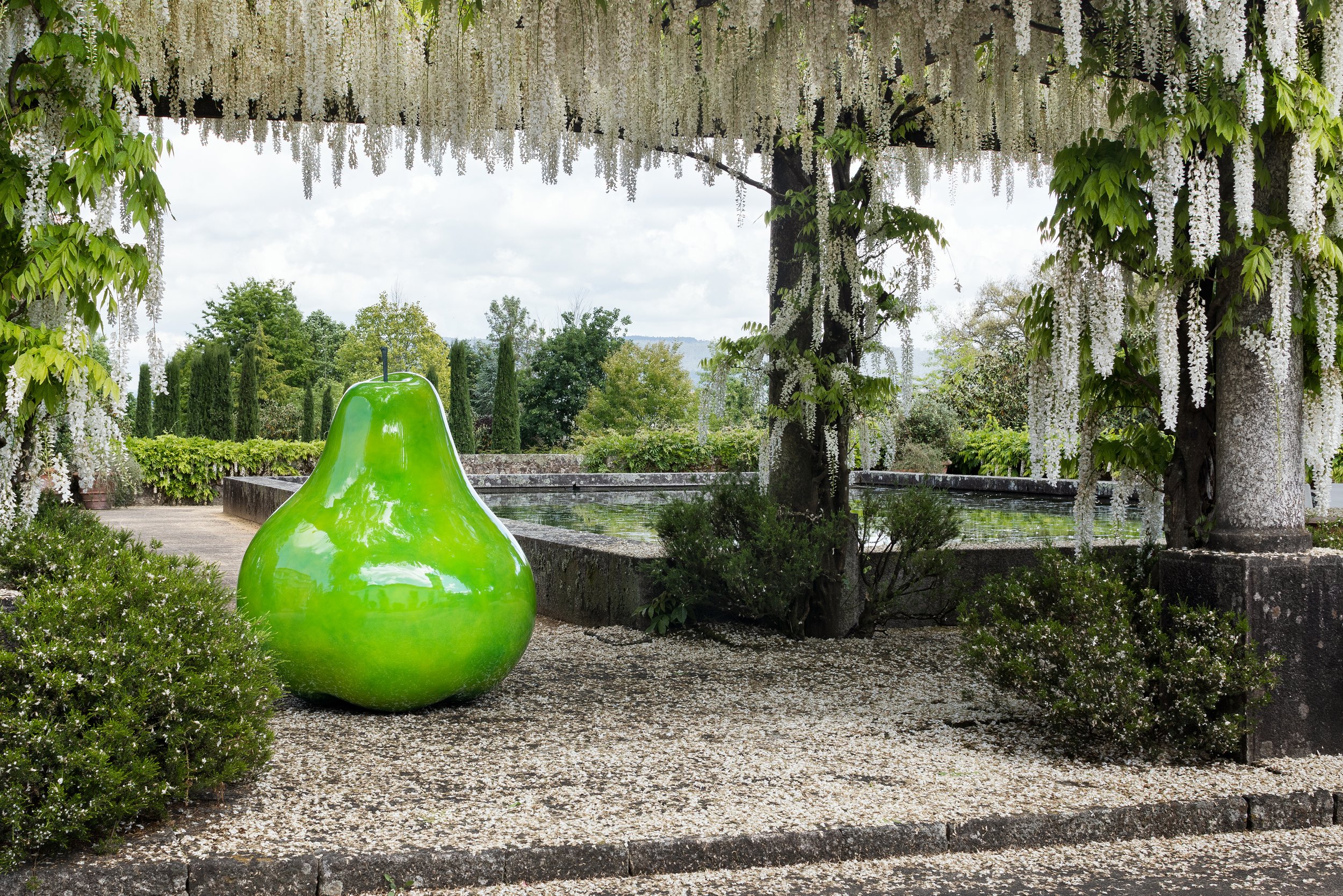 BS_pear_doublegiantfibreresingreen_outdoor2.jpeg