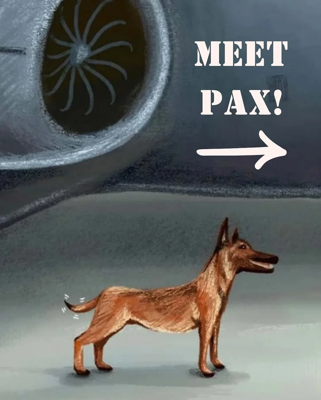 And why is she a dog? Because&hellip; 

1) we don&rsquo;t have people in the 𝘖𝘱𝘦𝘳𝘢𝘵𝘪𝘰𝘯 𝘈𝘷𝘪𝘢𝘵𝘪𝘰𝘯 series.

2) military working dogs frequently ride on C-17s. (Although, technically, they count as cargo, not passengers.)

3) puppies are