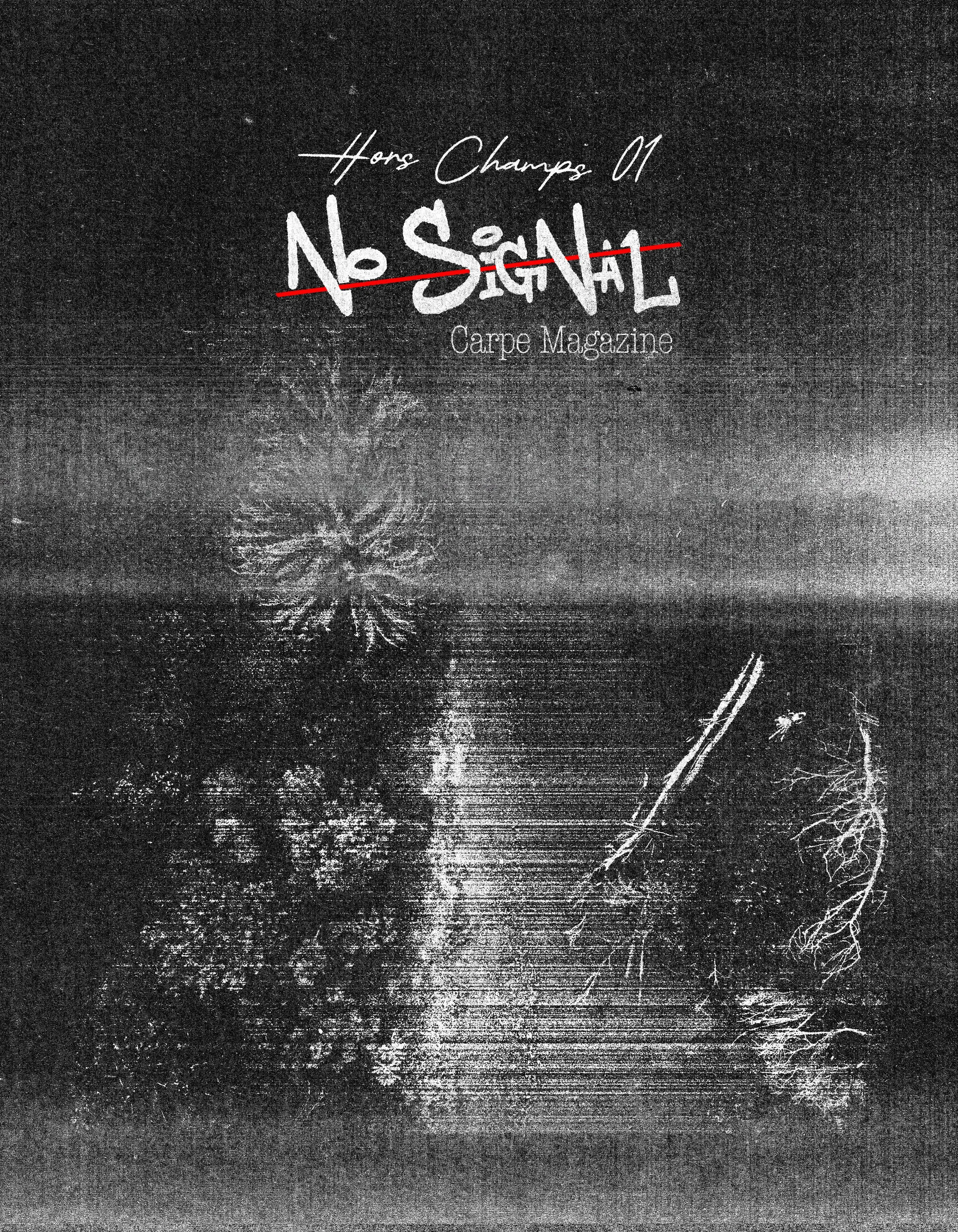 COUVERTURE NOSIGNAL MAG OK.JPG