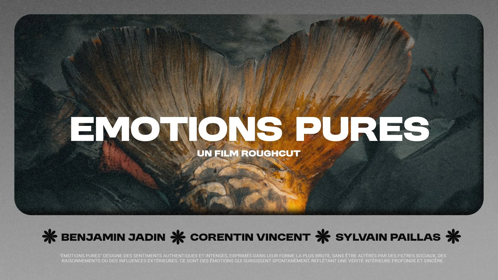 MINIATURE PURES EMOTIONS.jpg