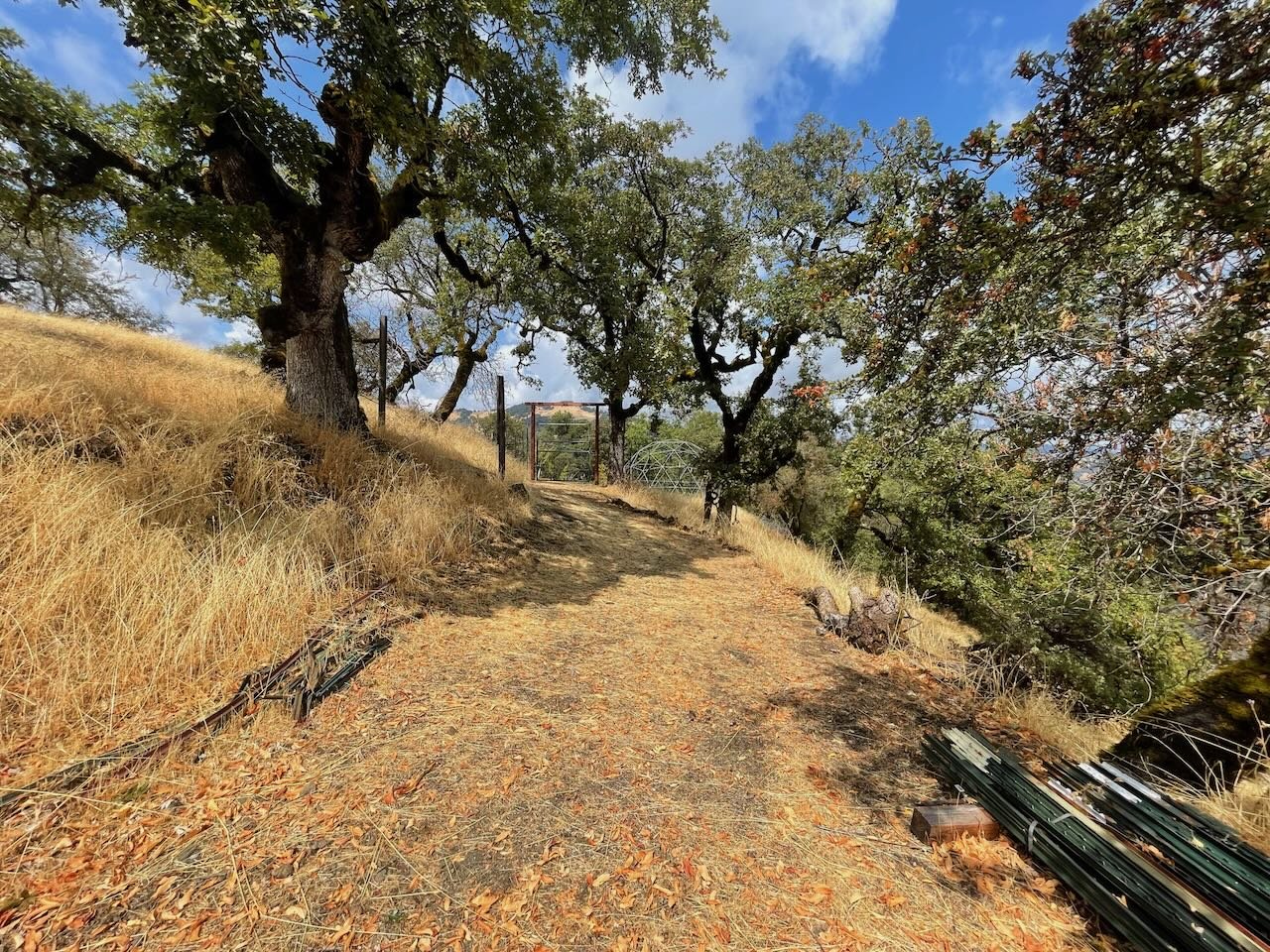 15 Path to orchard.jpeg