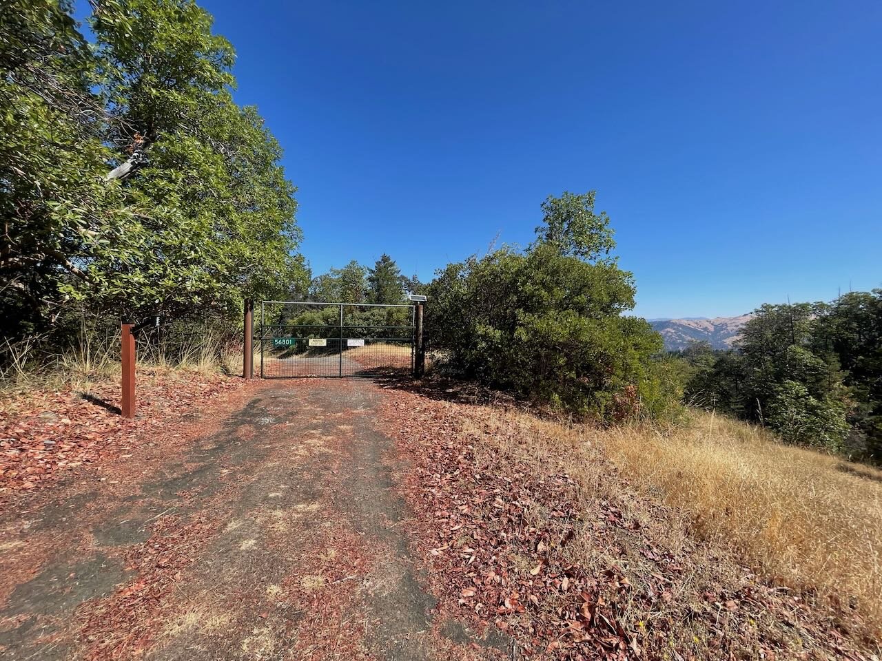 02 Driveway gate.jpeg