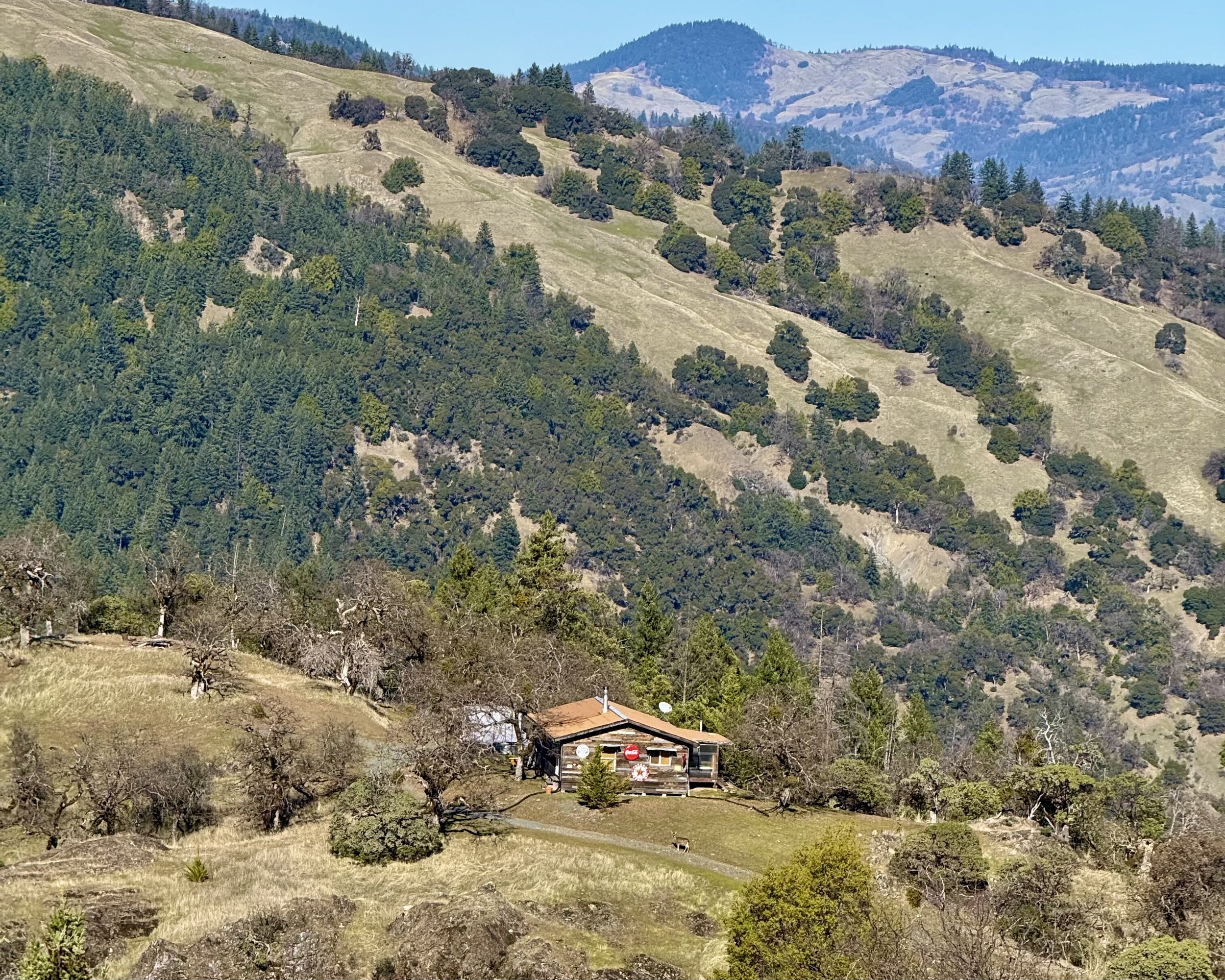 Cabin from the road2.jpeg